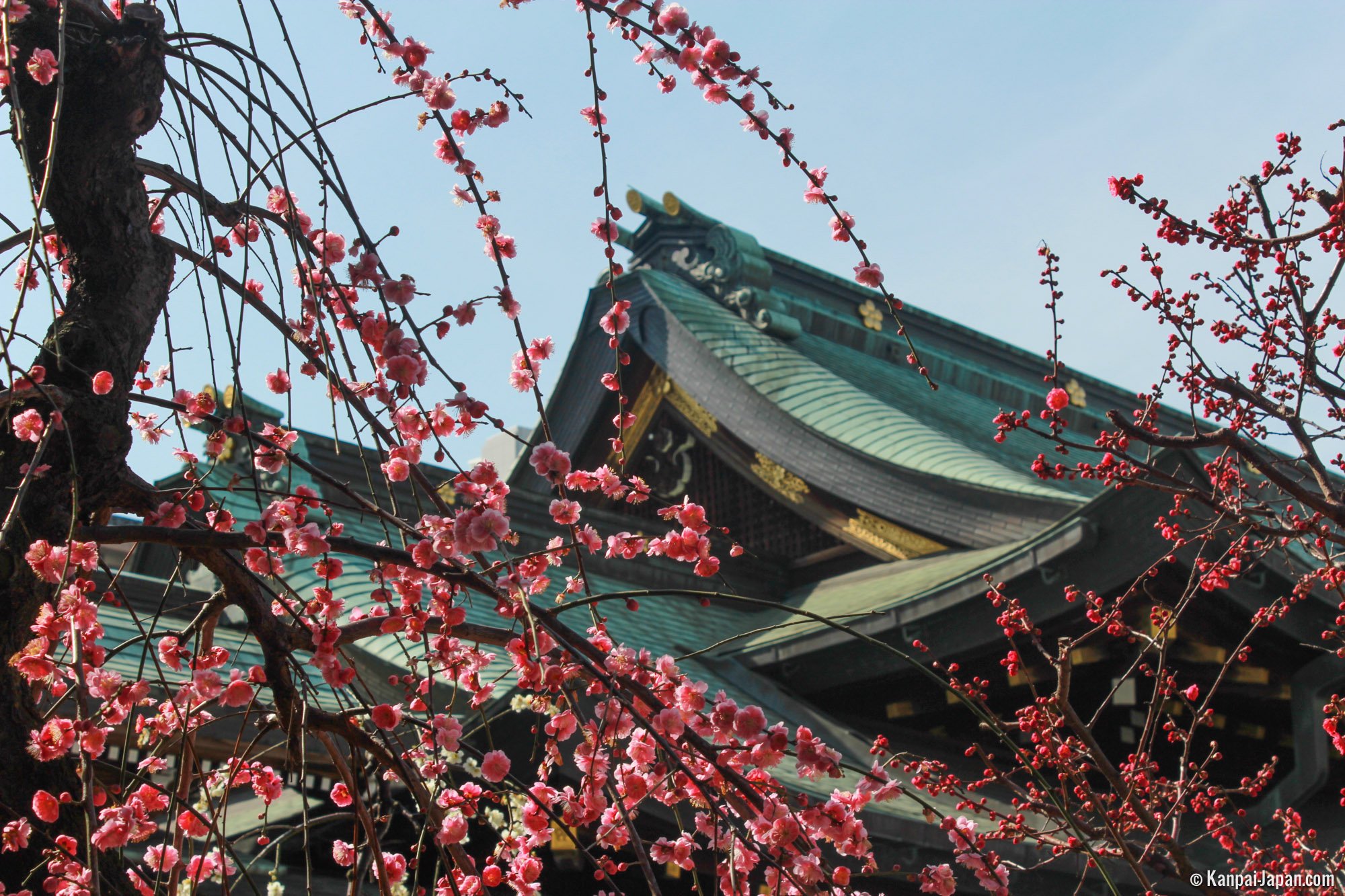 ⛩️ 오사카 천만궁 (오사카 텐만구) 이미지 13